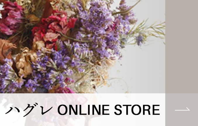 ハグレONLINESTORE